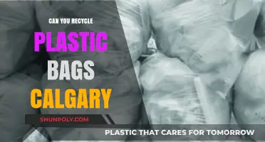 Recycling Plastic Bags in Calgary: What You Need to Know