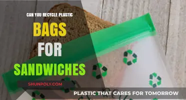 Recycling Sandwich Bags: Eco-Friendly Tips for Plastic Bag Disposal
