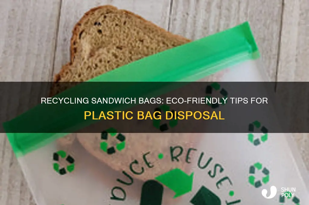 can you recycle plastic bags for sandwiches