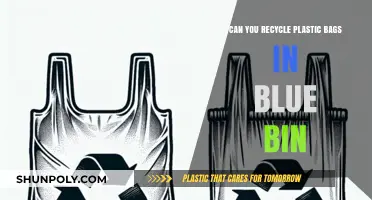 Recycling Plastic Bags: Blue Bin Rules and Eco-Friendly Tips