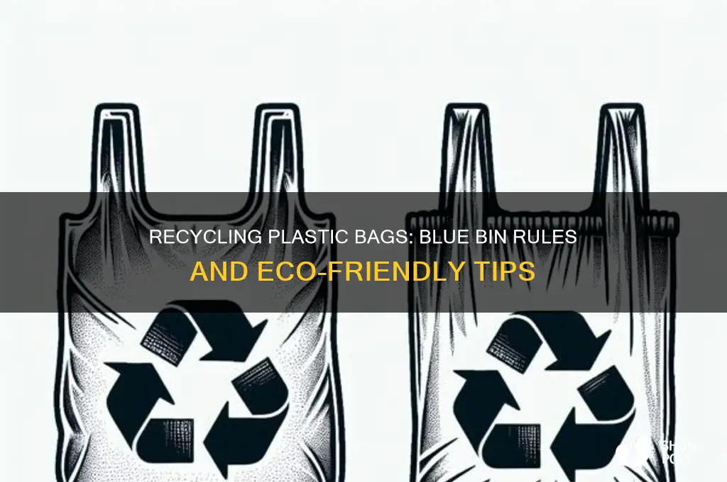 can you recycle plastic bags in blue bin
