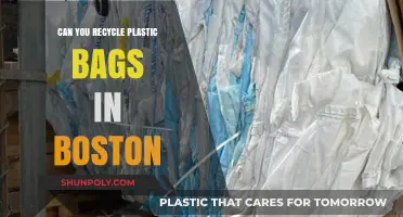 Recycling Plastic Bags in Boston: What You Need to Know