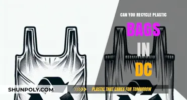 Recycling Plastic Bags: DC's Guide to Going Green