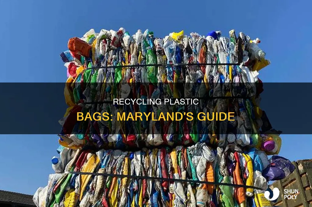 can you recycle plastic bags in maryland