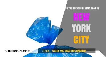 Recycling Plastic Bags in NYC: What You Need to Know