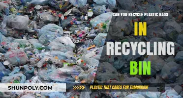 Recycling Plastic Bags: Can They Go in Your Recycling Bin?