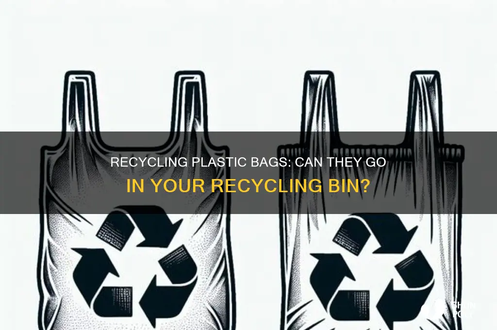 can you recycle plastic bags in recycling bin