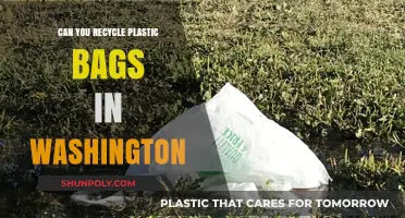 How to Recycle Plastic Bags in Washington State