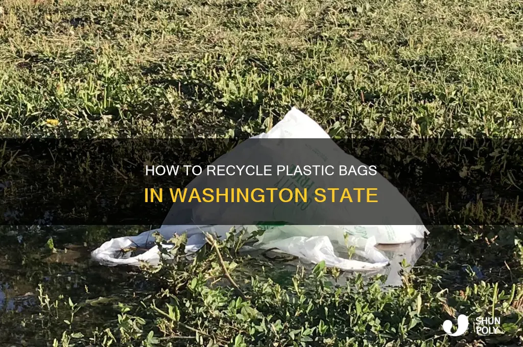 can you recycle plastic bags in washington