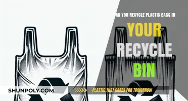 How to Recycle Plastic Bags Responsibly