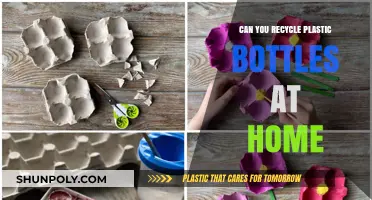 Recycling Plastic Bottles at Home: Simple DIY Methods for Eco-Friendly Living