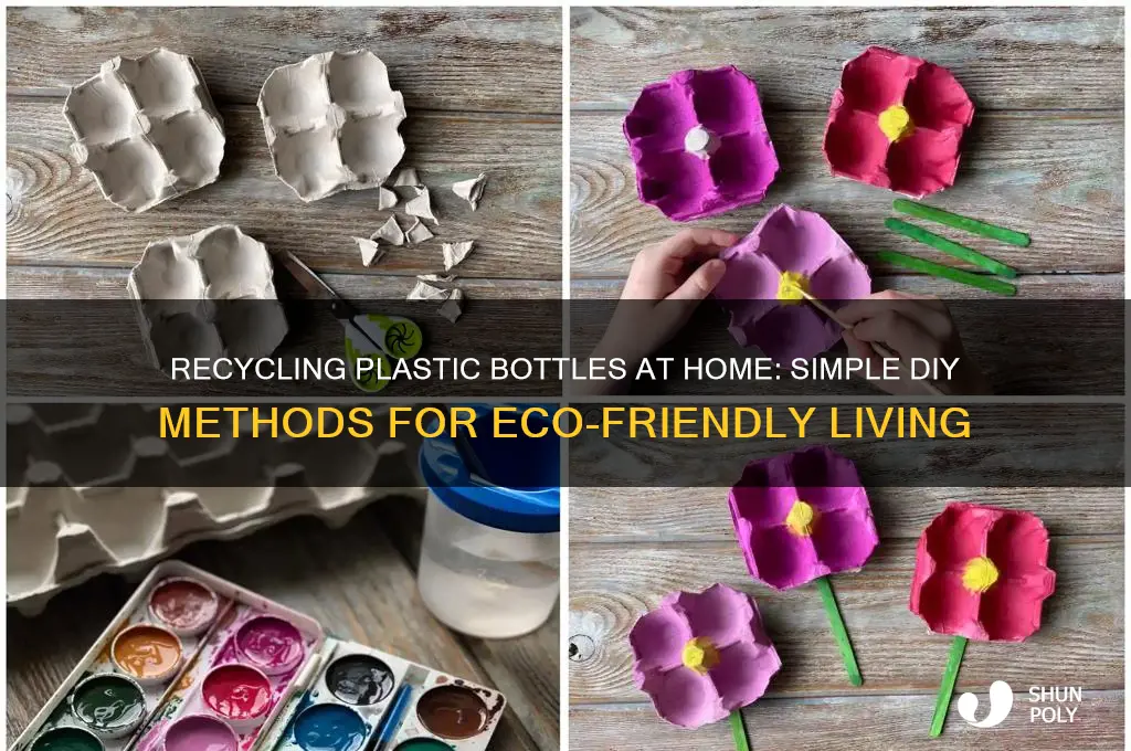 can you recycle plastic bottles at home