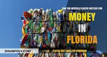 Recycling Plastic Bottles for Cash in Florida: A Complete Guide