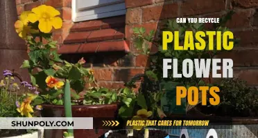 Eco-Friendly Gardening: The Truth About Recycling Plastic Flower Pots