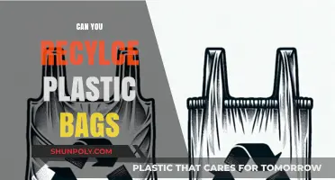 How Plastic Bags Can Be Recycled Properly