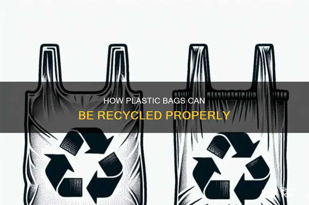 can you recylce plastic bags