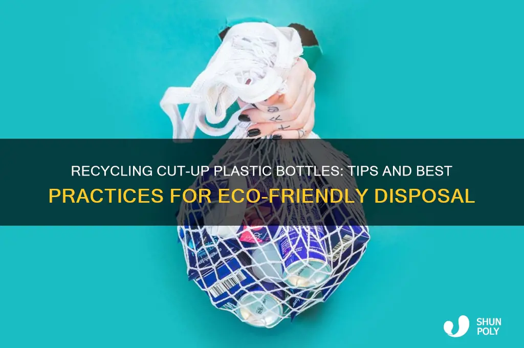 can you recyle cut up plastic bottles