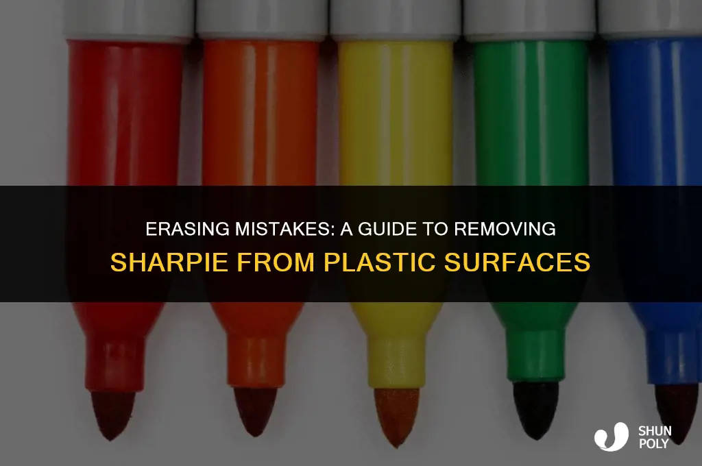 can you remove sharpie from plastic