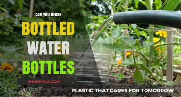 Reusing Bottled Water Bottles: Safe Practices and Environmental Impact
