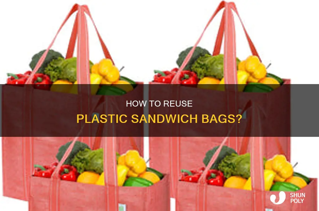 can you reuse plastic sandwich bags