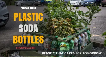 Eco-Friendly Tips: Reusing Plastic Soda Bottles Safely and Creatively
