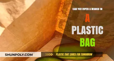 Mango Magic: Ripe Fruit from a Plastic Bag