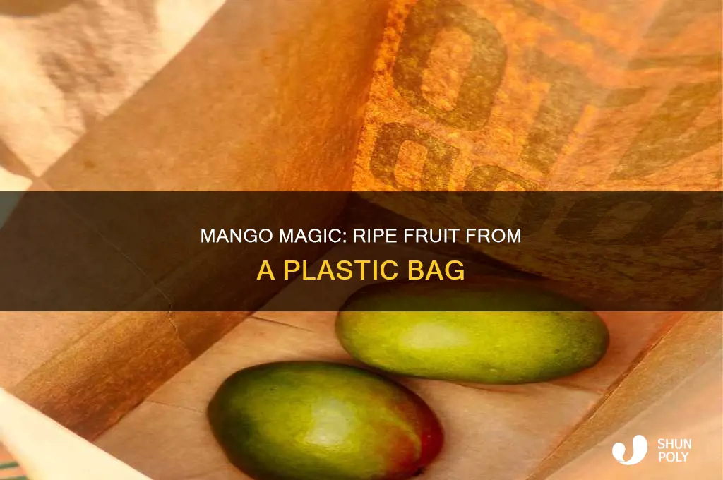 can you ripen a mango in a plastic bag