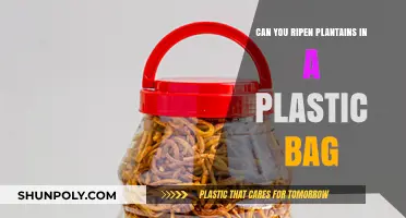 Storing Plantains: Plastic Bag Ripening Method