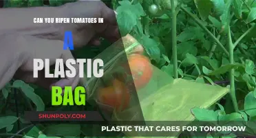 How to Ripen Tomatoes in a Plastic Bag