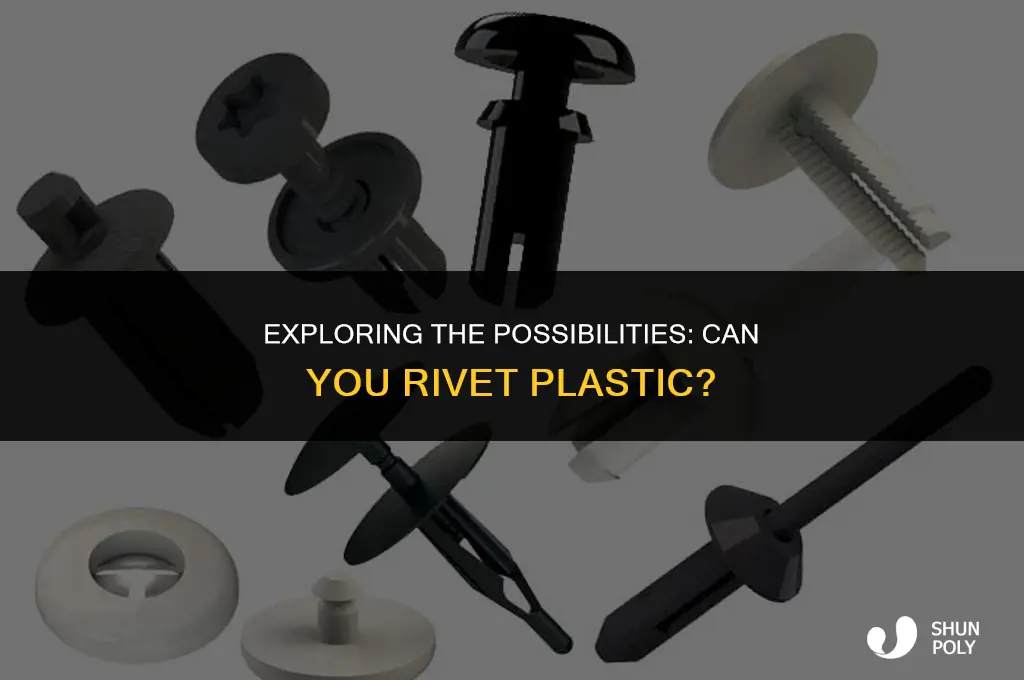 can you rivet plastic