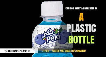 Grow Basil Easily: Starting Seeds in Plastic Bottles at Home