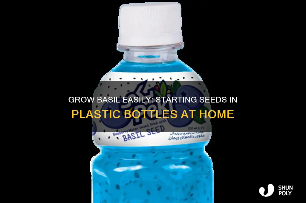 can you start a basil seed in a plastic bottle