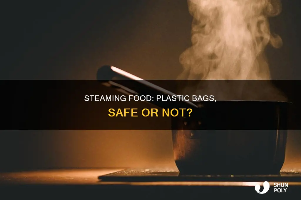 can you steam food in a plastic bag