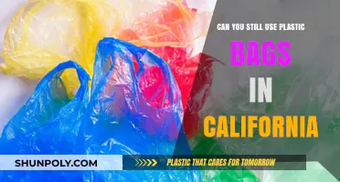 California's Plastic Bag Ban: What's Allowed?