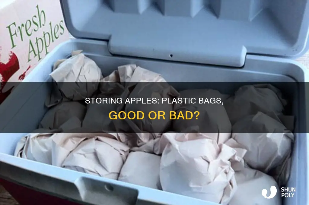 can you store apples in a plastic bag