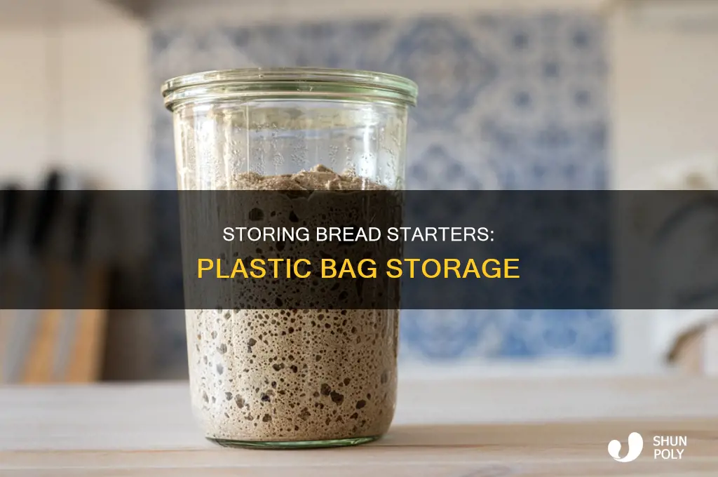 can you store bread starter in plastic bag