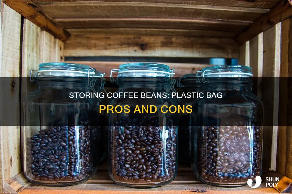 can you store coffee beans in a plastic bag