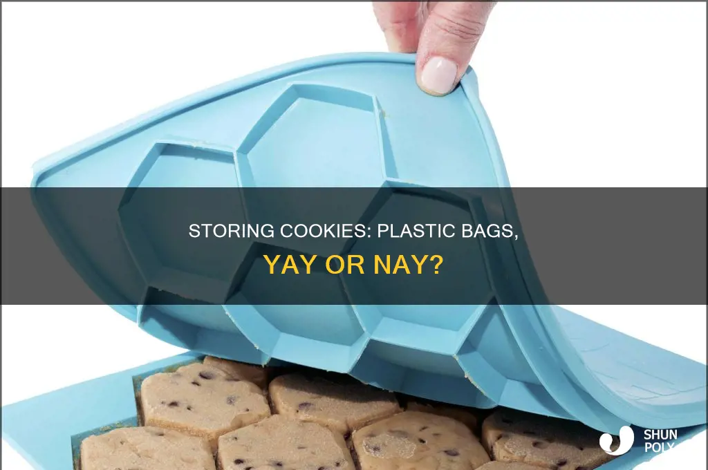 can you store cookies in plastic bags