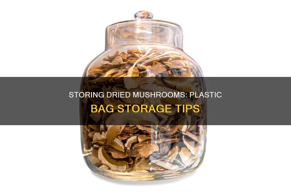 can you store dried mushrooms in a plastic bag