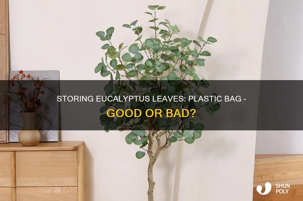 can you store eucalyplus leaves in a plastic bag