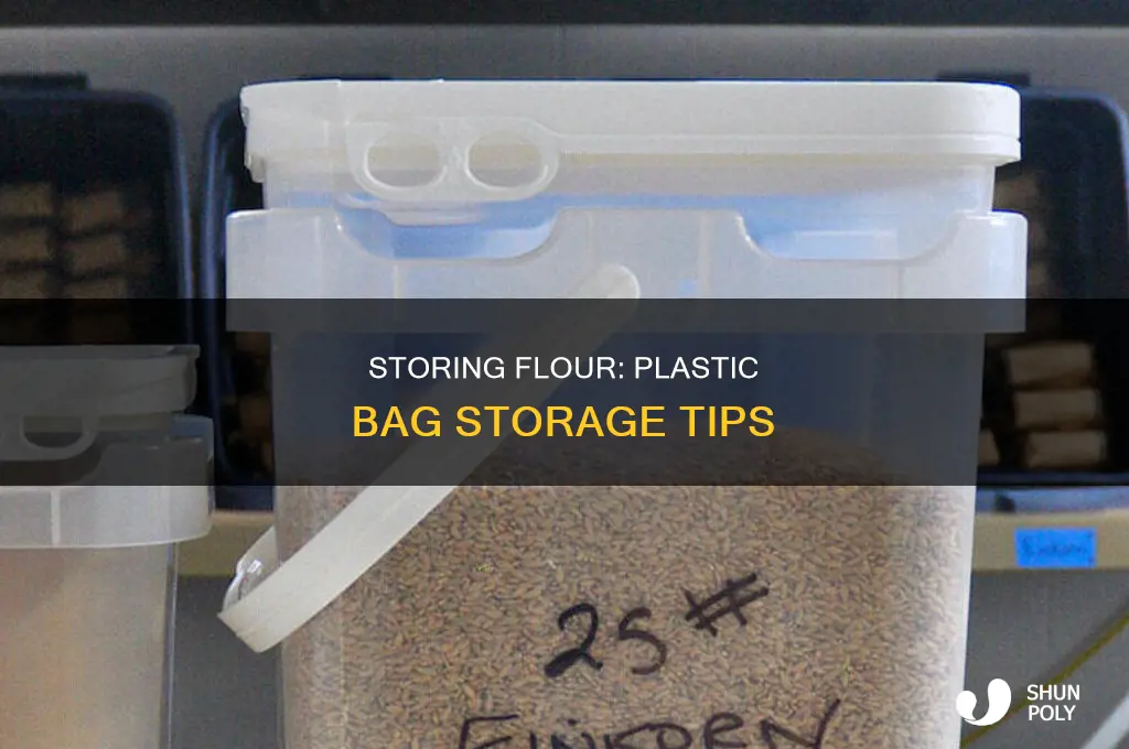 can you store flour in a plastic bag