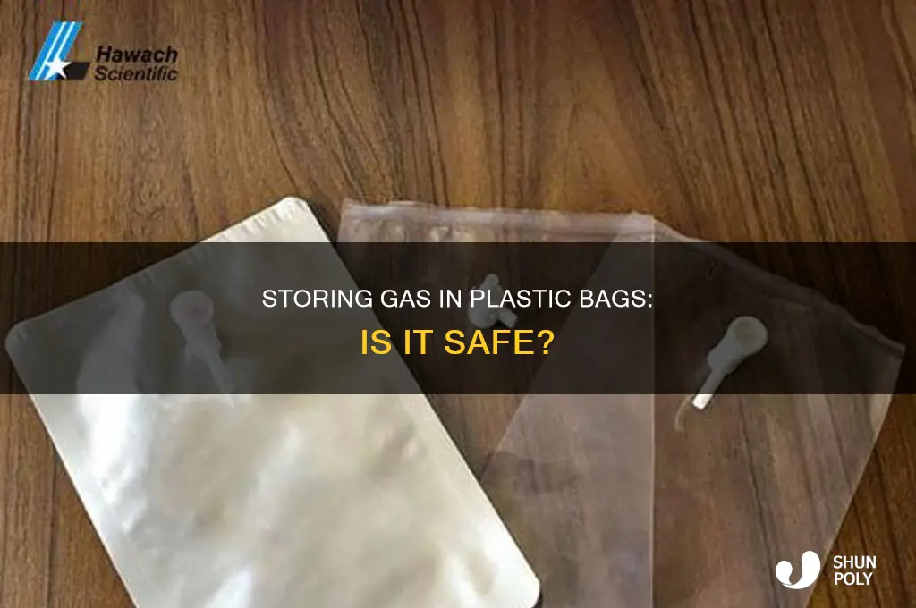 can you store gas in a plastic bag