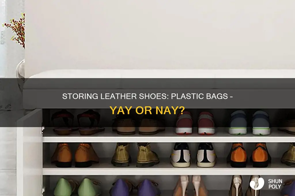 can you store leather shoes in plastic bags