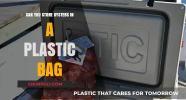 Storing Oysters: Plastic Bag Do's and Don'ts