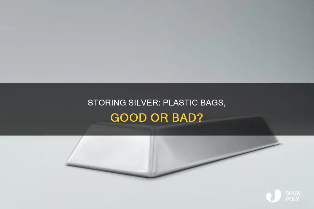 can you store silver in plastic bags