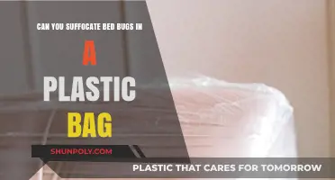Suffocating Bed Bugs: Plastic Bag Method