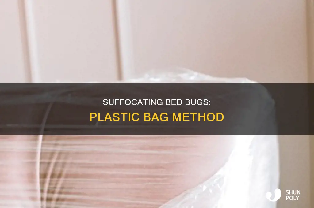 can you suffocate bed bugs in a plastic bag