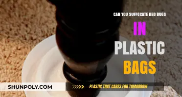 Suffocating Bed Bugs: Plastic Bags to the Rescue