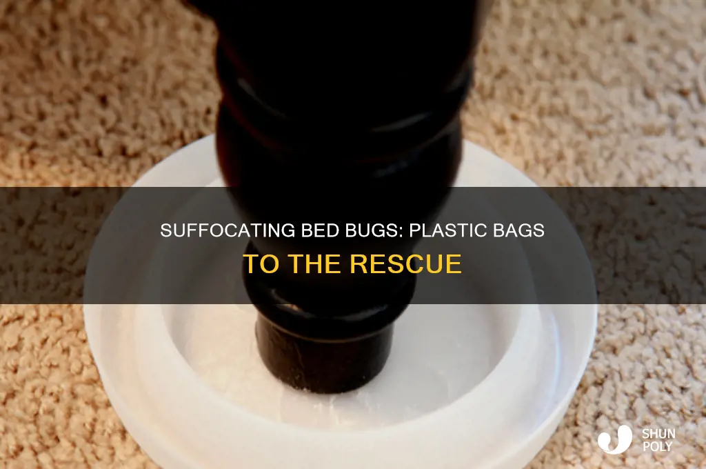 can you suffocate bed bugs in plastic bags
