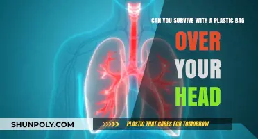 Plastic Bag Over Your Head: Surviving the Unsurvivable